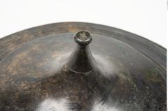Foto von Bronzephalere (NHMW-PRAE-025107)